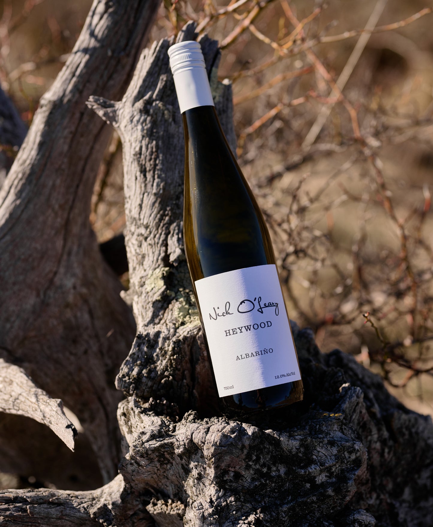 ALBARIÑO 'HEYWOOD' 2025