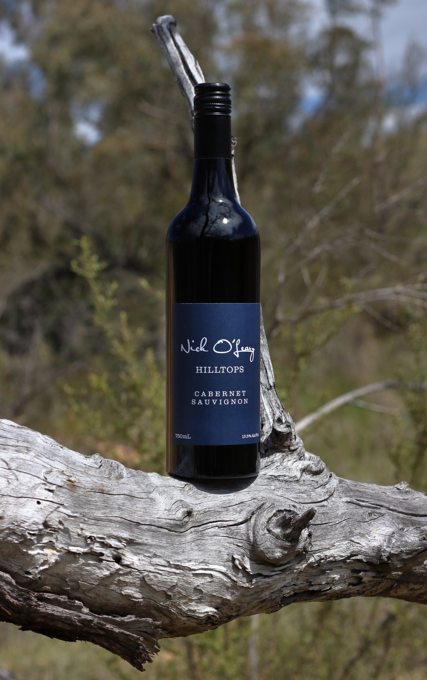 CABERNET SAUVIGNON 2023