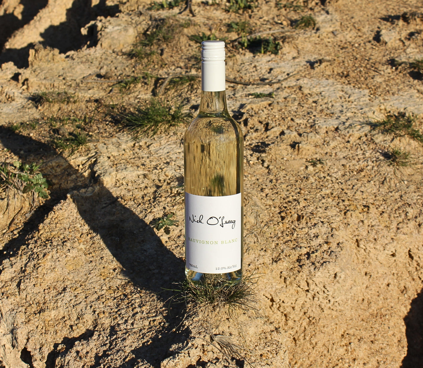 SAUVIGNON BLANC 2025