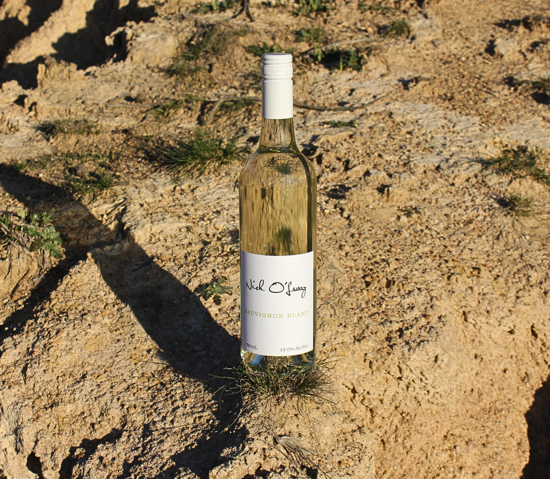 SAUVIGNON BLANC 2025