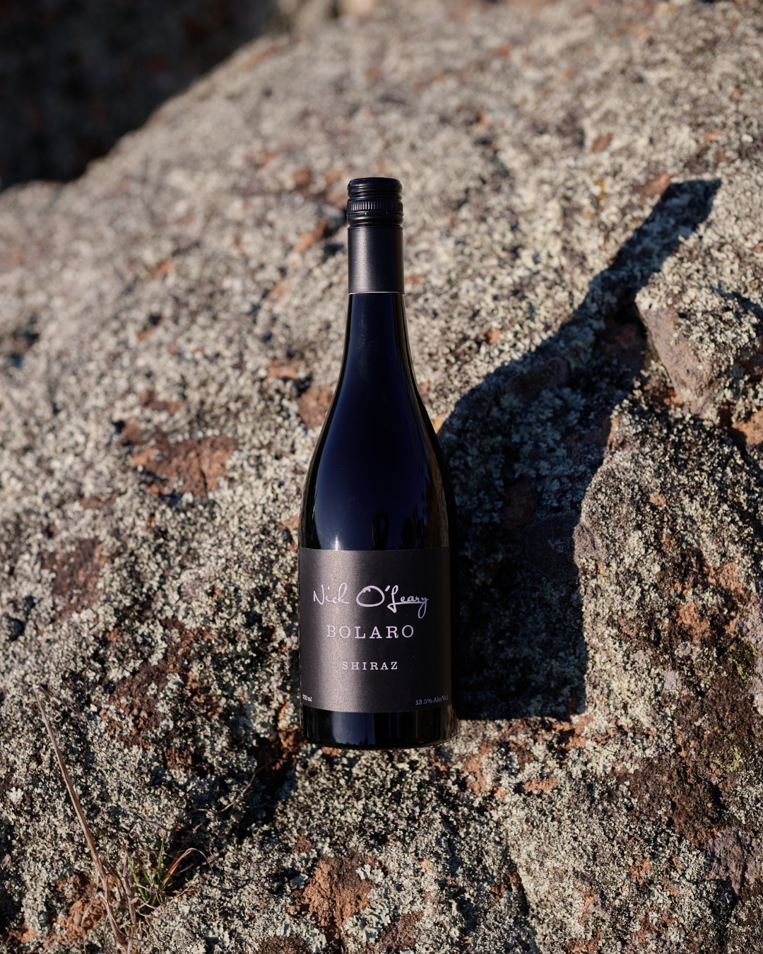 SHIRAZ 'BOLARO' 2023