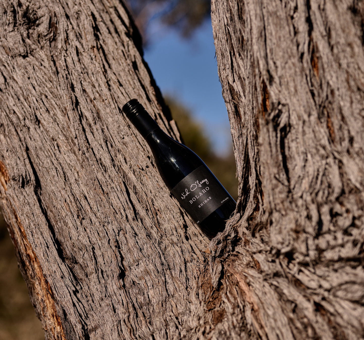 SHIRAZ 'BOLARO' 2018 (375ml)