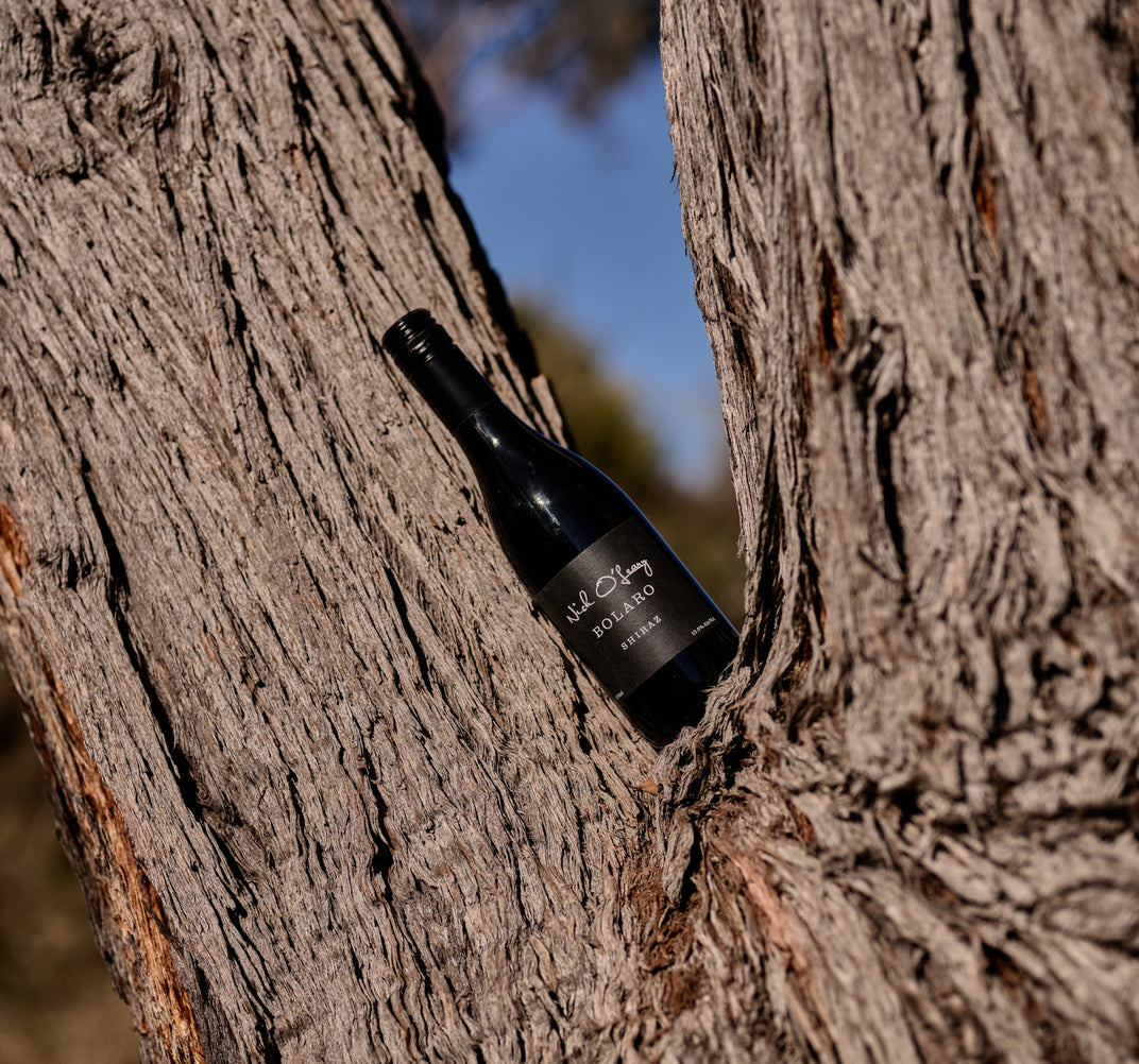 SHIRAZ 'BOLARO' 2018 (375ml)