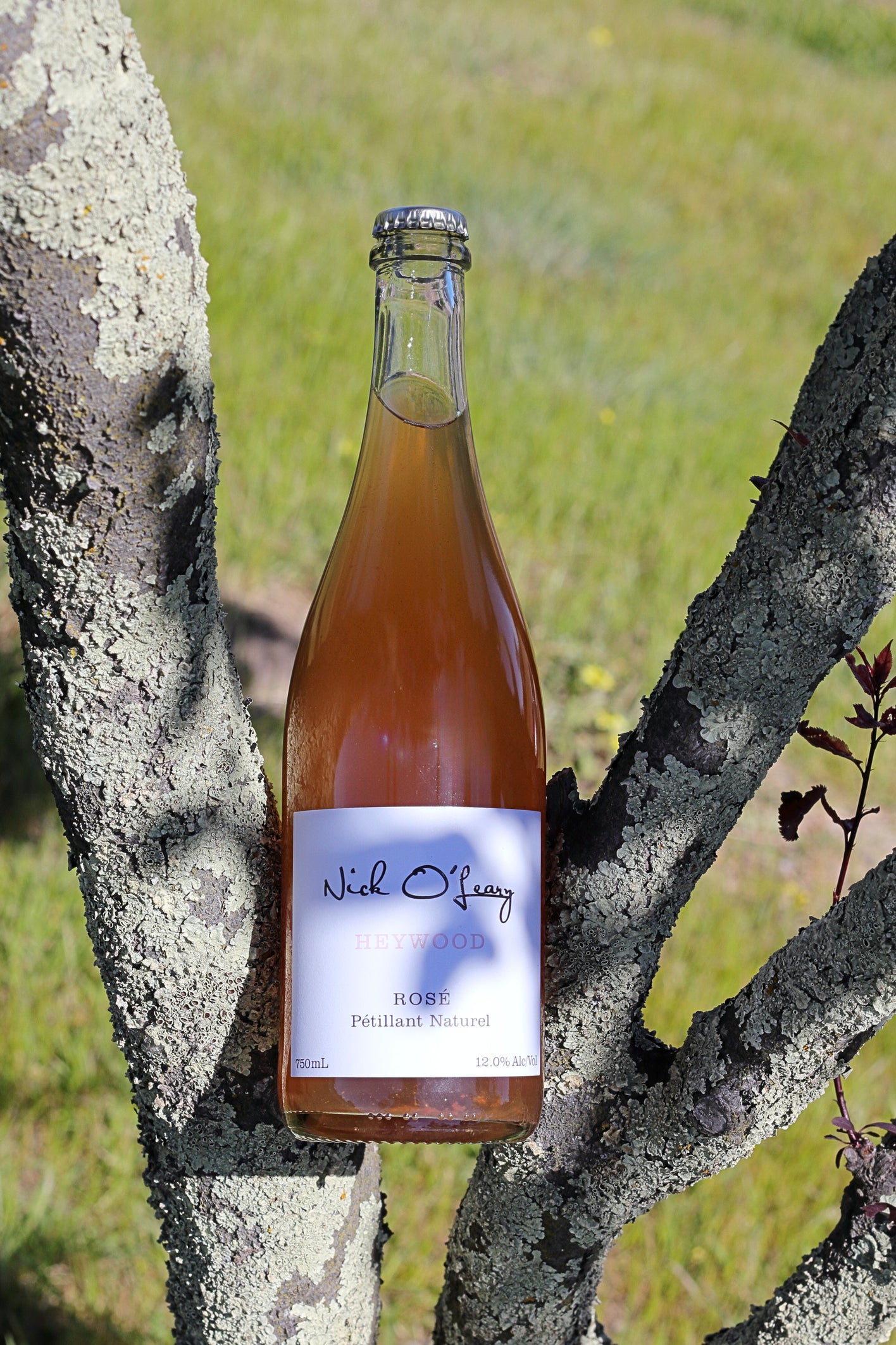 PÉTILLANT NATUREL ROSÉ 2023